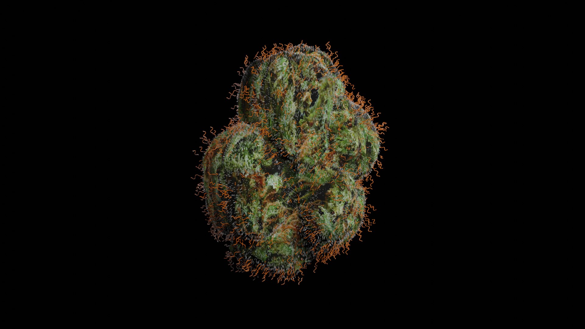 Free 3D weed bud TurboSquid 1492240