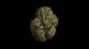 3D weed bud