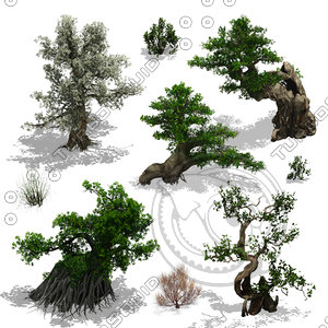 2.5D Tree Plant Environment Games Assets