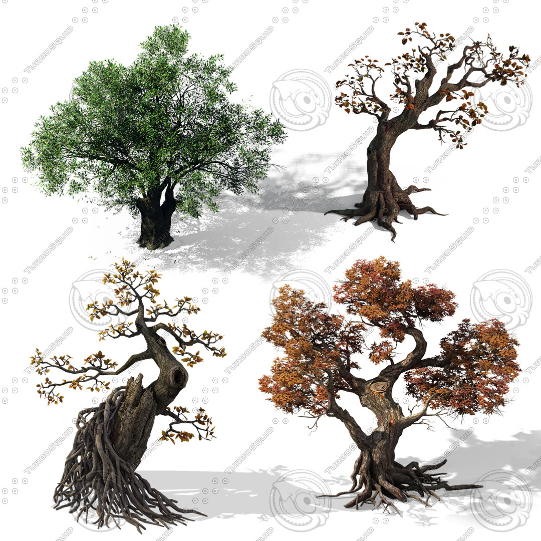  https://static.turbosquid.com/Preview/2020/01/09__05_49_36/01.jpgC2622A4C-6171-4E98-A7C3-6D0DE84DE25FDefault.jpg