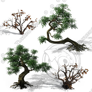 Trees Plant Forest Environment Construction Kit Game Assets