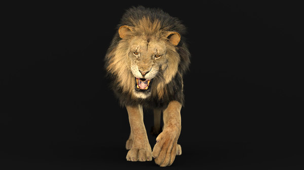 Modele 3d De Lion Animated Redshift 2 Turbosquid