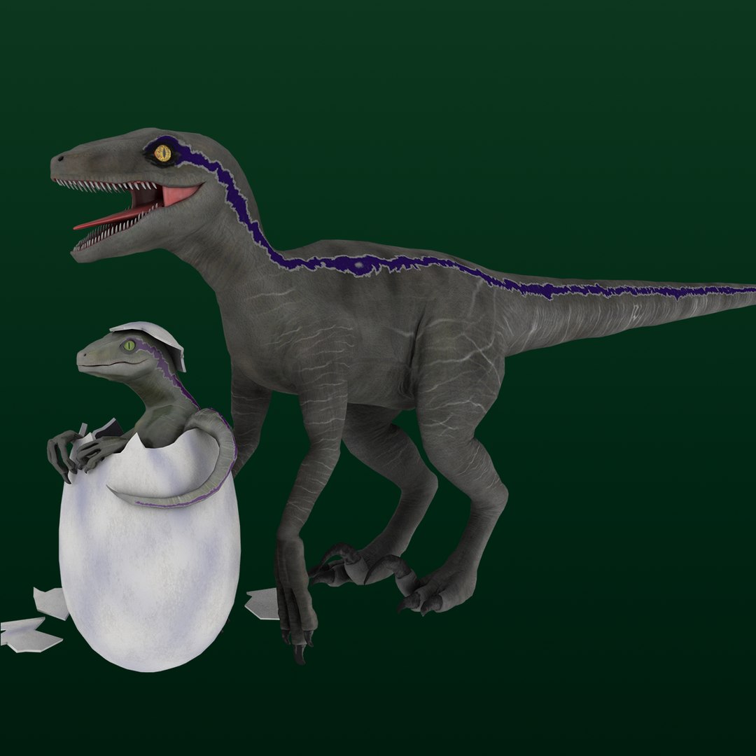 Velociraptor Baby 3d Turbosquid 1493071