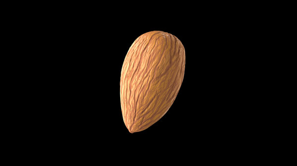 3D almond details
