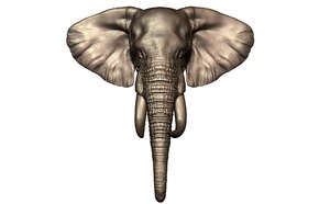 elephant head model