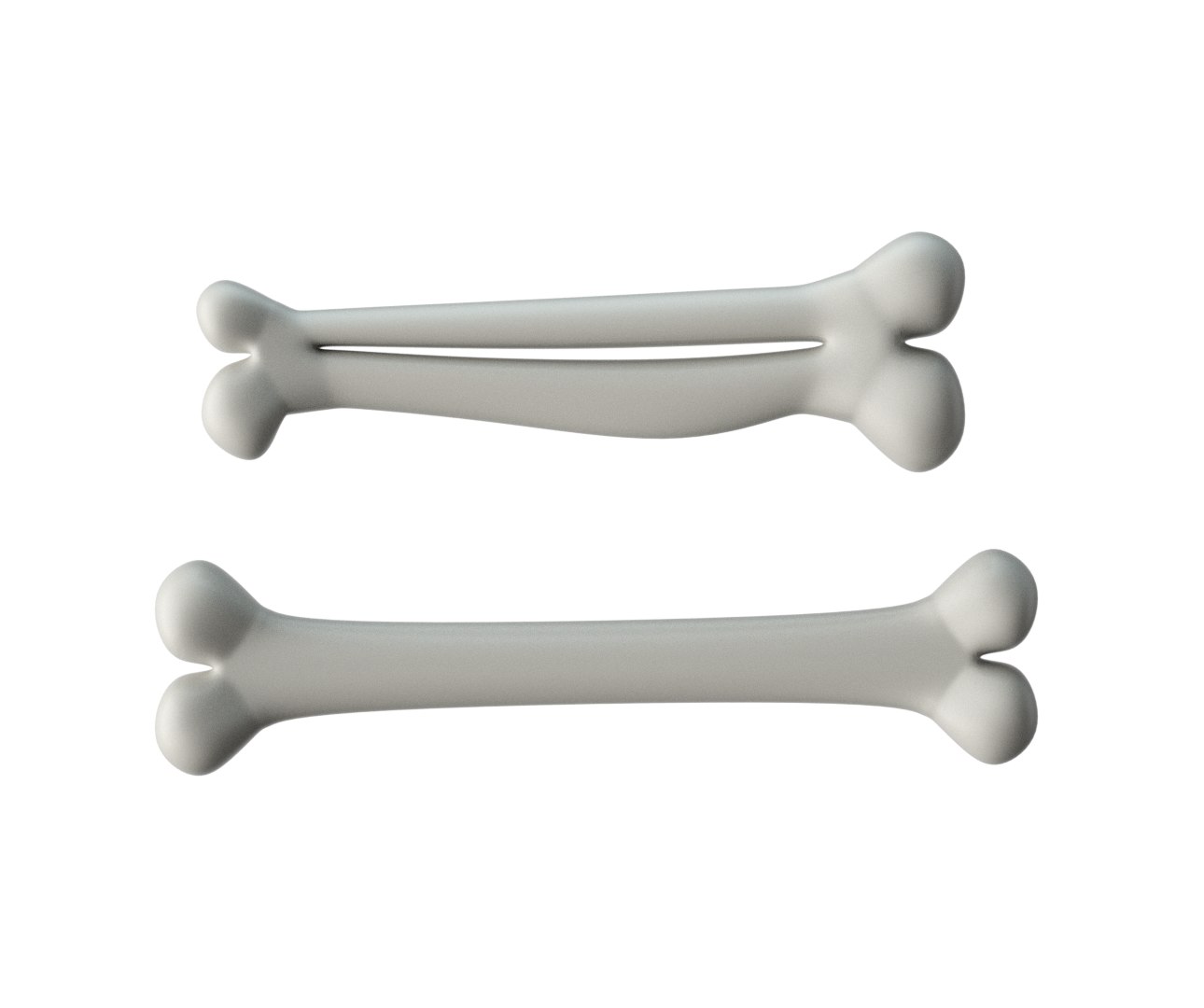 3d model of human bones