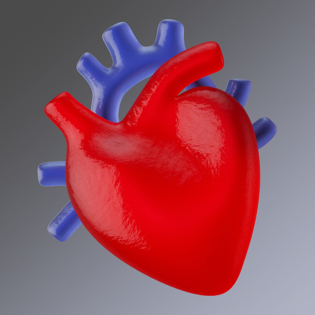 3d Model Human Heart Turbosquid 1493668
