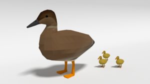 3D gadwall duck