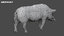 3D pig animal boar