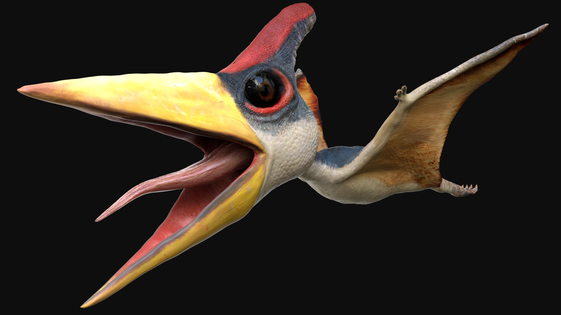 pteranodon 3d