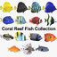 coral reef fish 3D model