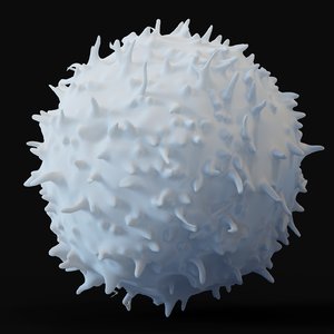 3D model lymphocyte blood cells