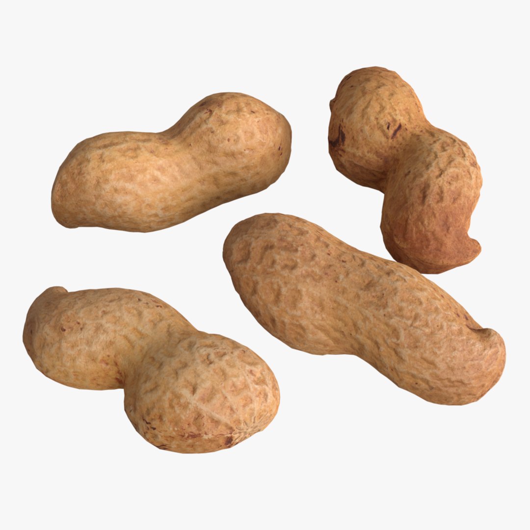 Photogrammetry unshelled peanuts 3D model TurboSquid 1494373