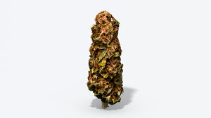 marijuana bud photoscanned pbr model