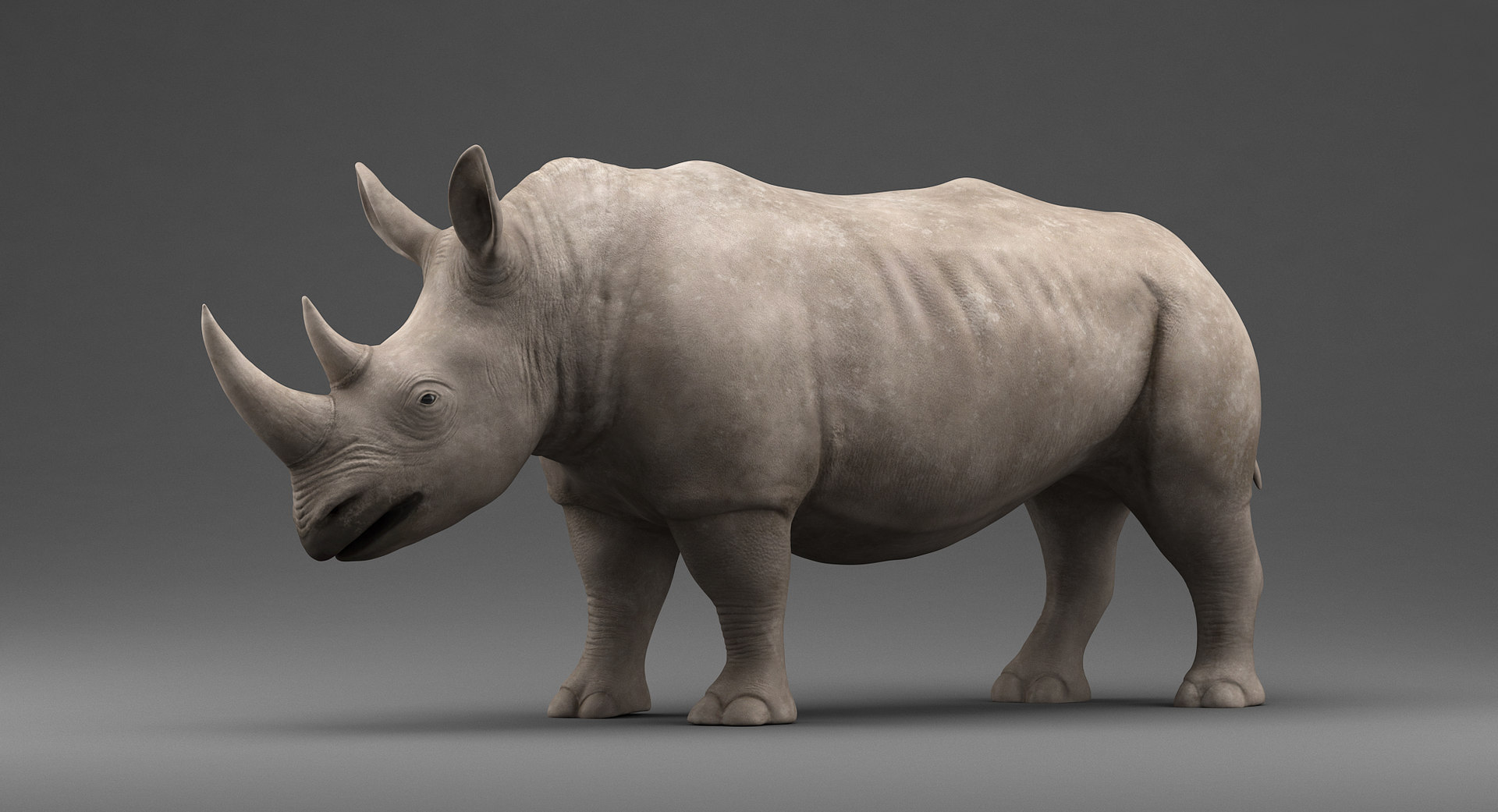 Rhino rhinoceros 3D model TurboSquid 1494814