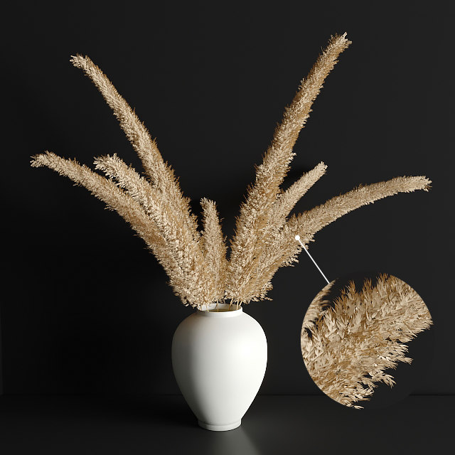 Pampas grass 3D model TurboSquid 1493888