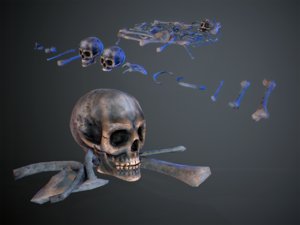 skulls1 alien bones 3D model
