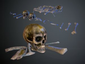 skulls1 infected alien bones model