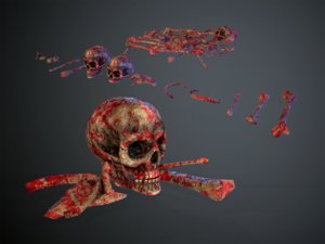 3D skulls1 meat bones