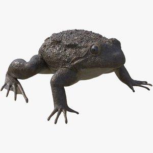 3D frog rigged animates