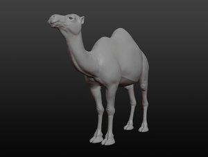 3D camel base mesh model
