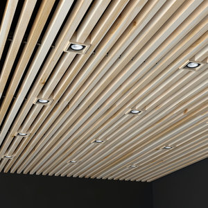 ceiling overhead donolux 3D model
