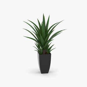agave decorative pot 3D