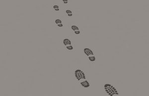footprint foot print track 3D
