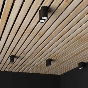 3D ceiling donolux