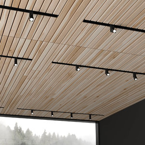 3D ceiling overhead donolux
