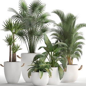 plants exotic 3D
