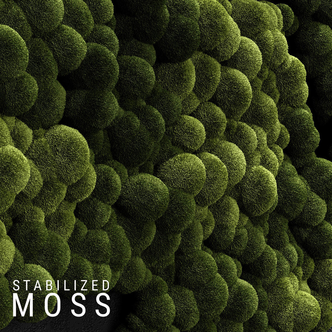 Moss 3D model TurboSquid 1499732