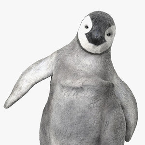 3D baby emperor penguin rigged