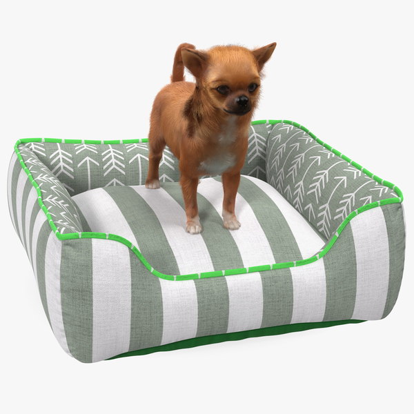 miniature dog bed