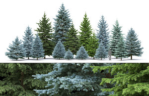 3D pack realistic trees
