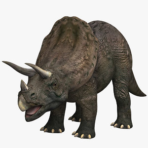 triceratops dinosaur xsi