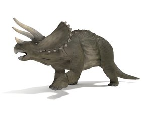 3D model triceratops rigged animation