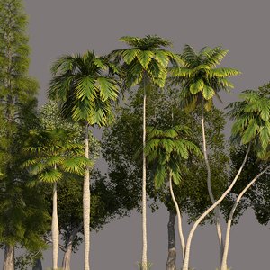 palm trees 3D model