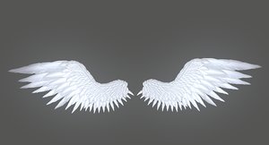 3D angel wing