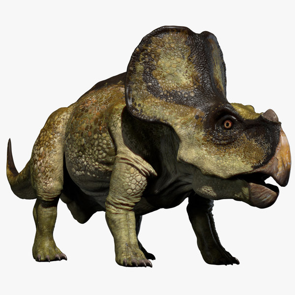 triceratops in 3d