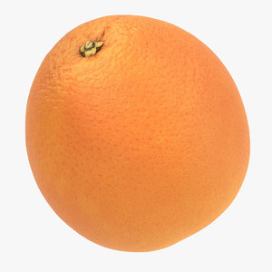 orange model