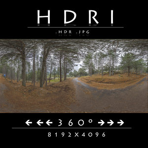 HDR ROAD FOREST  2
