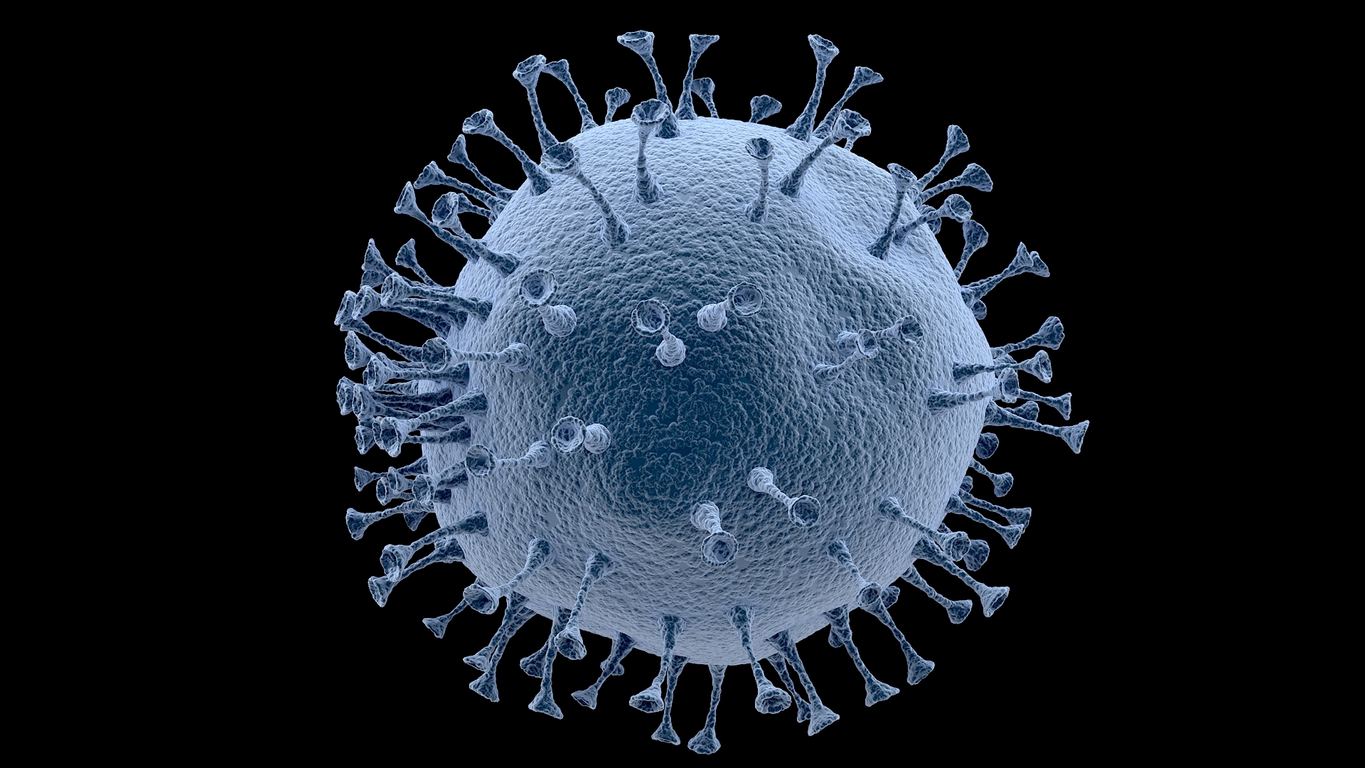 Modelo 3d Coronavirus 2019 Ncov 03 Turbosquid 1502420