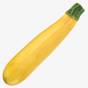 yellow zucchini 01 3D