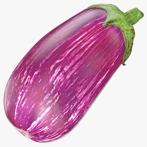 eggplant 02 3D