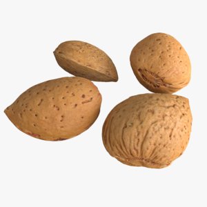 3D photogrammetry unshelled almonds model