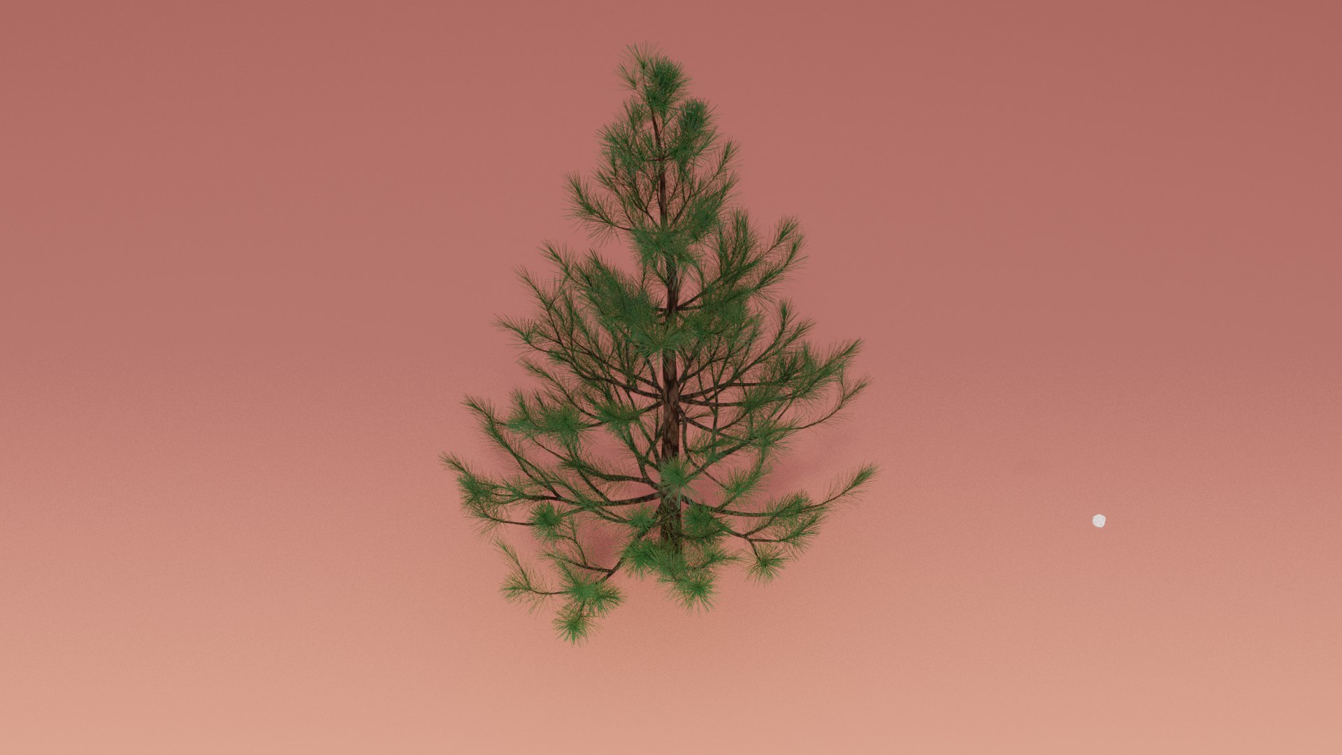 3D model realistic pine tree TurboSquid 1503179