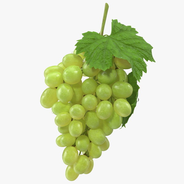 Modele 3d De Grappe De Raisin Vert Turbosquid