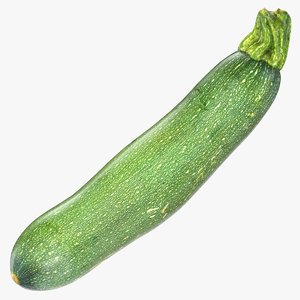 3D zucchini 01 model
