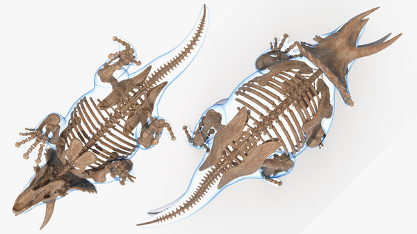triceratops walking